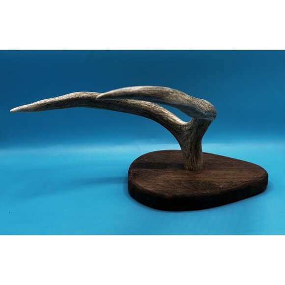 Rustic Mounted Deer Antler Display – Cabin Decor, Shed Antler on Wood Base - Picture 4 of 9